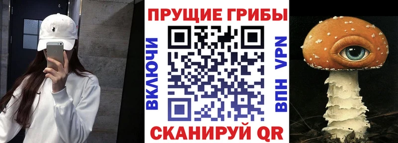 Псилоцибиновые грибы Cubensis  Купить где  Голицыно 